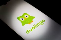 "Both killed by a Cybertruck" — Duolingo and others react as X shares post in tribute of the late owl mascot and Larry the Bird