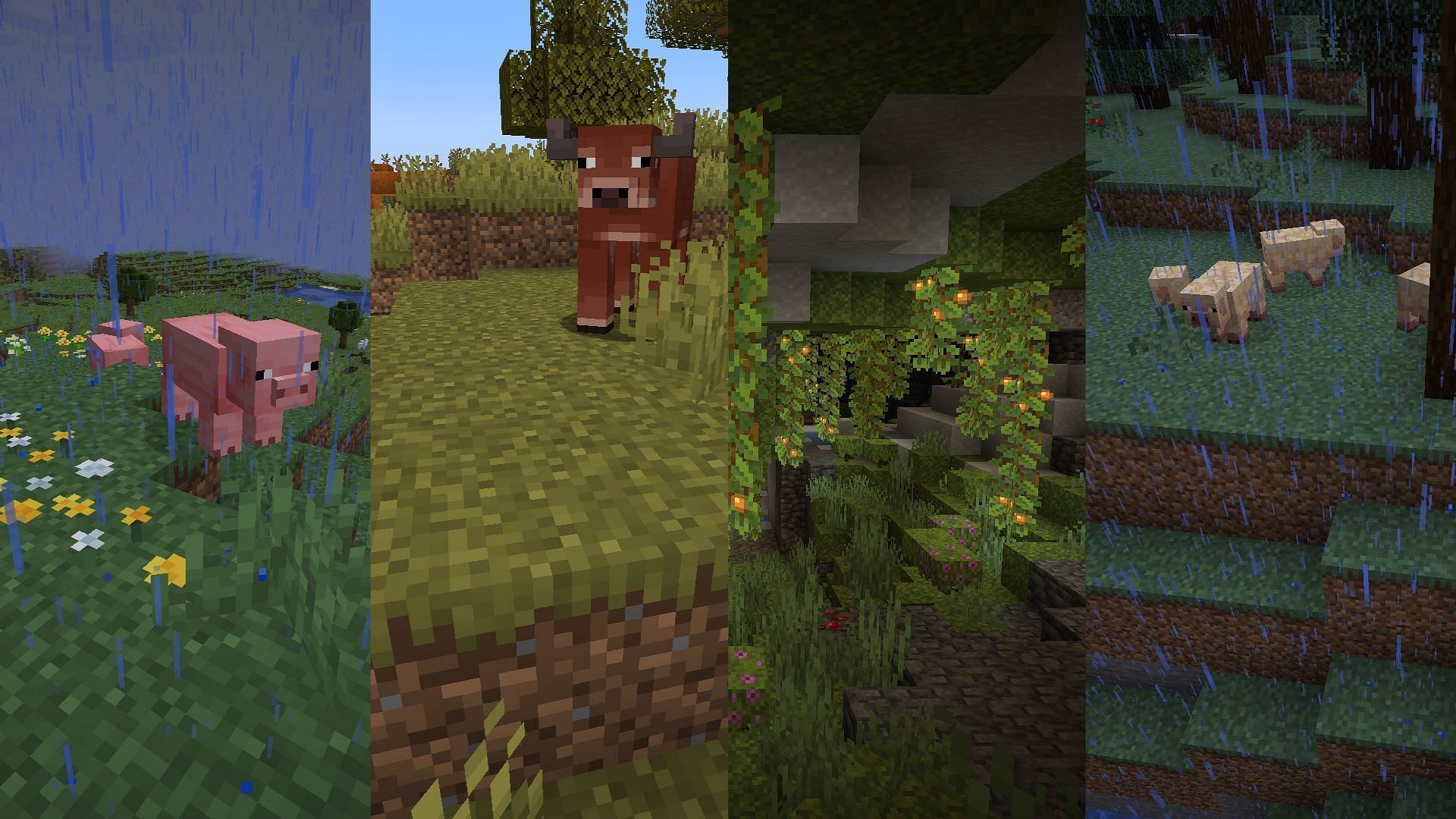 Minecraft has a lot of biomes that are beautiful 