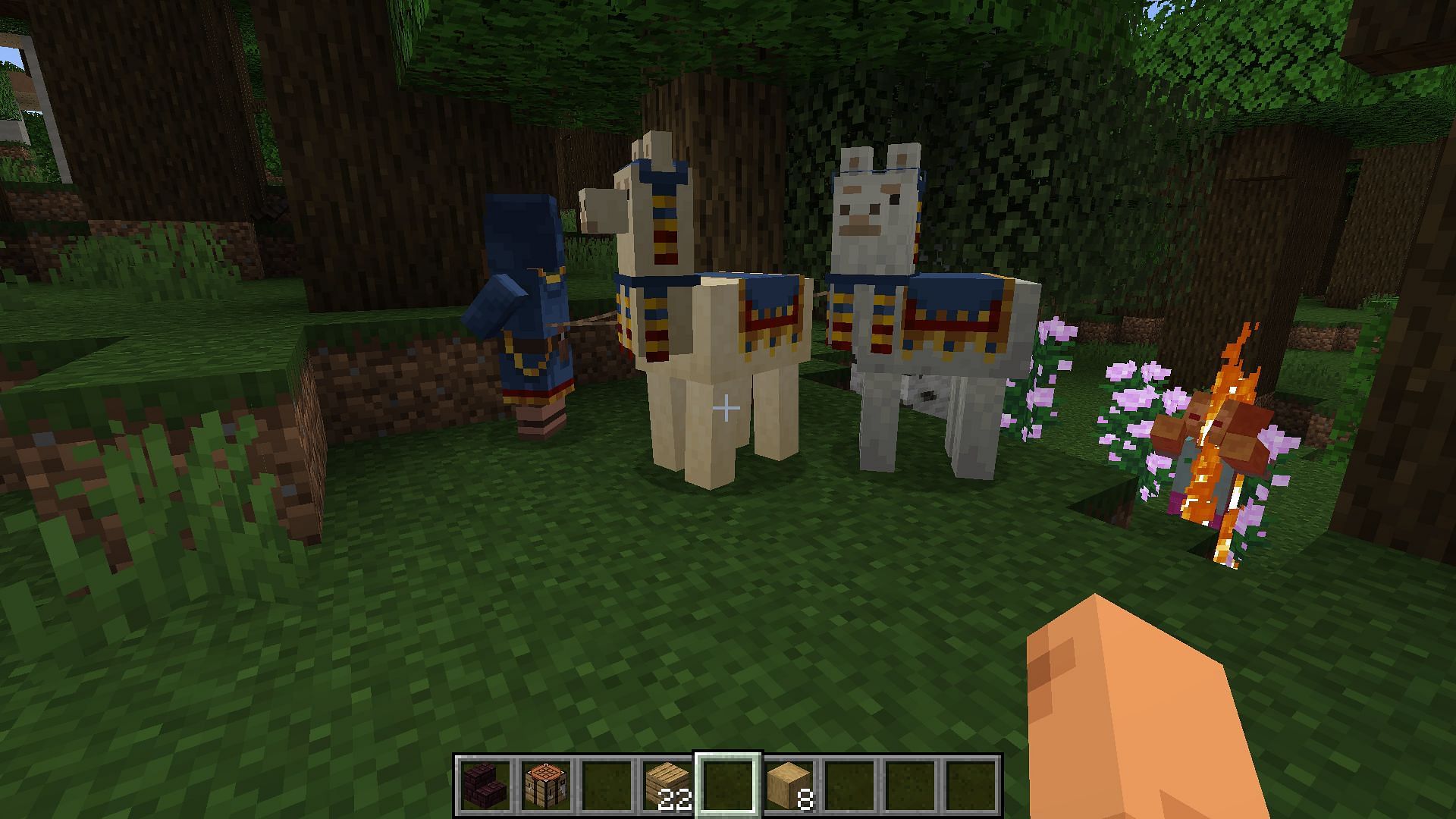 The wandering trader now offers many new items (Image via Sportskeeda Gaming/Mojang Studios)