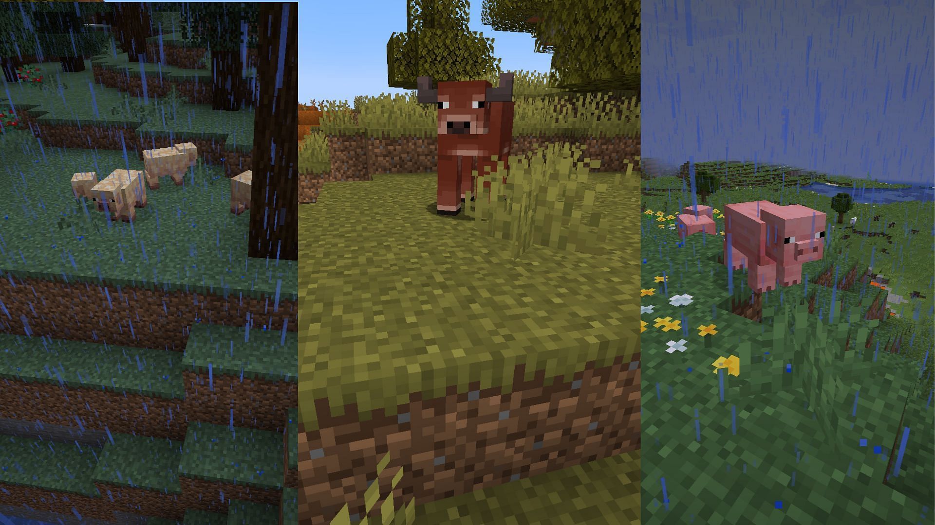 More variants of existing mobs are always welcome (Image via Mojang Studios)