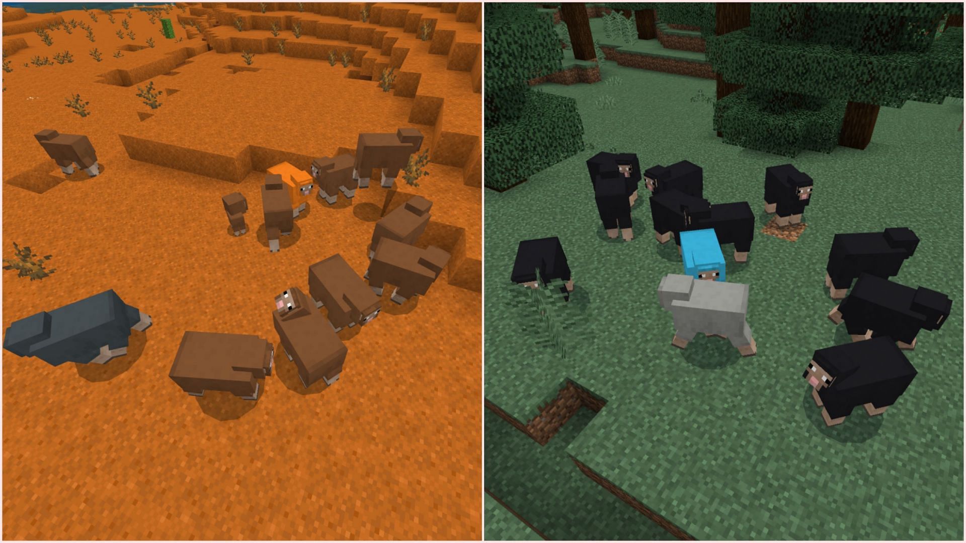 Sheep&#039;s spawning locations will soon change with Minecraft&#039;s upcoming game drop (Image via Sportskeeda/Mojang)