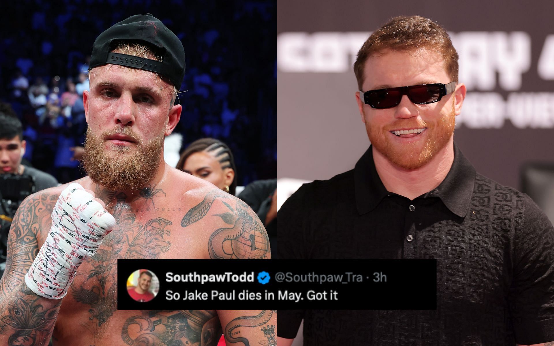 Fans on Jake Paul (left) reportedly fighting Canelo Alavrez (right). [Image courtesy: Getty Images] 