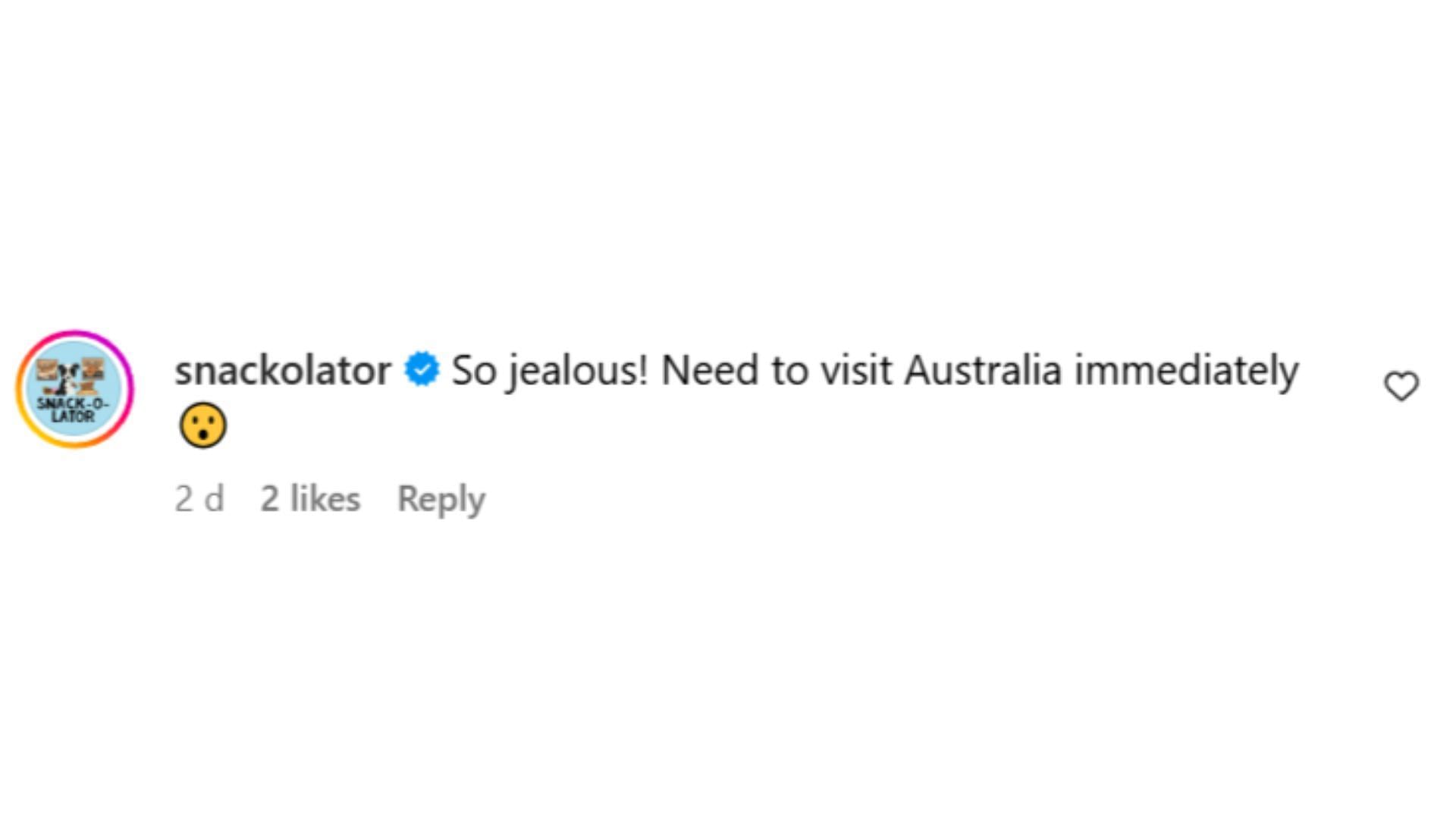 Snackolator&#039;s comment on the Instagram post by McDonald&#039;s Australia (Image via Instagram/@mcdonaldsau)