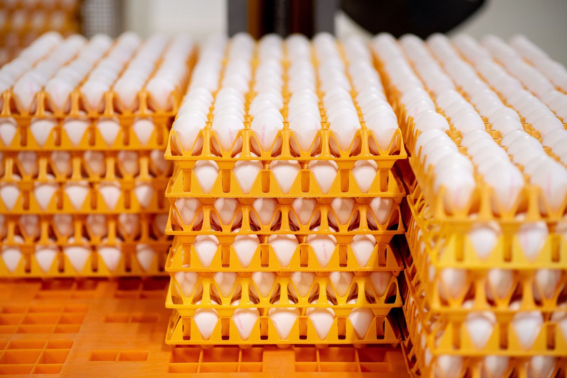 Eggs from a laying hen house - Source: Getty