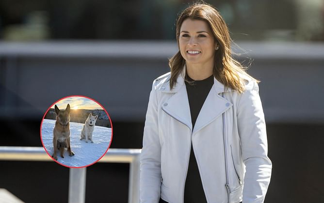 Danica Patrick shares ‘perfect ski season’ update featuring her two furry friends on IG