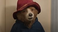 "OH NO, IS PADDINGTON REAL?"- X in stitches as hackers threaten to leak sensitive information about Paddington and his creator