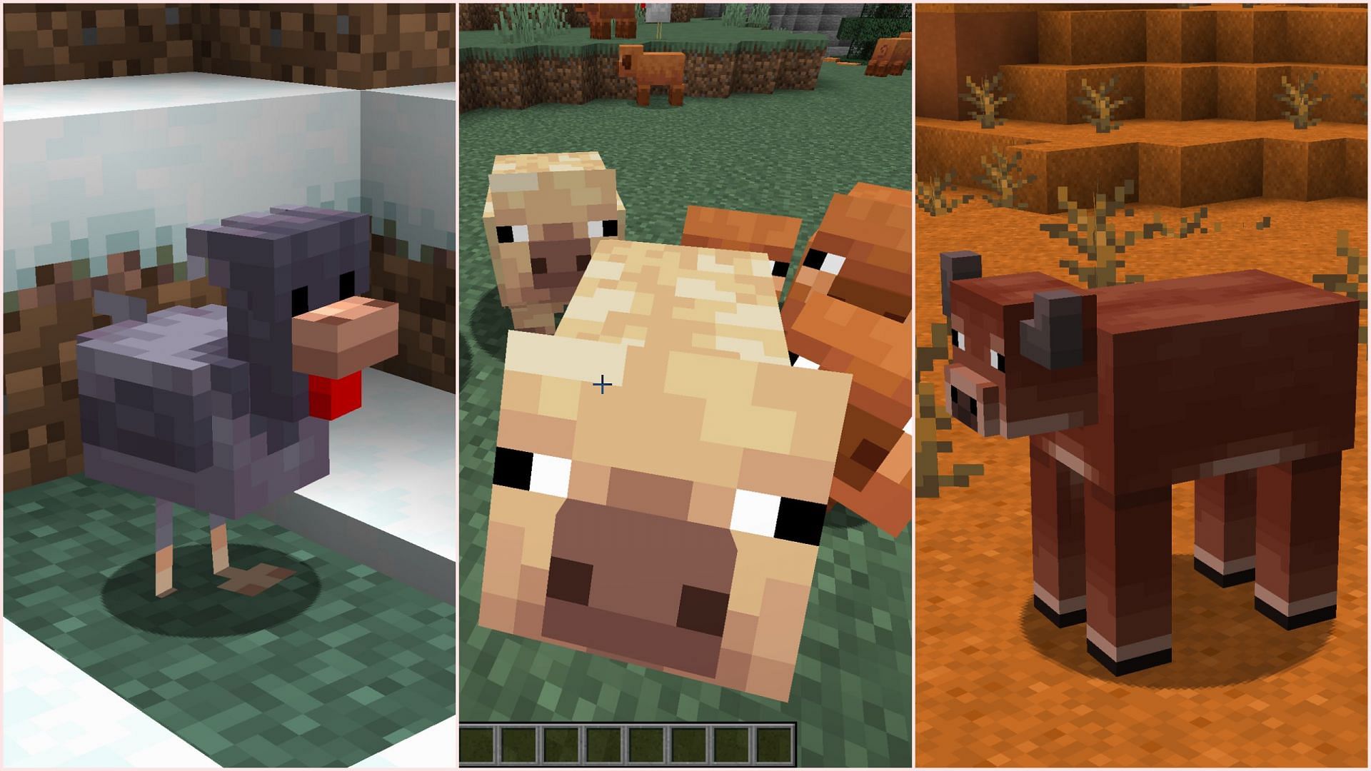 New chicken, pig, and cow variants are coming (Image via Sportskeeda Gaming/Mojang)