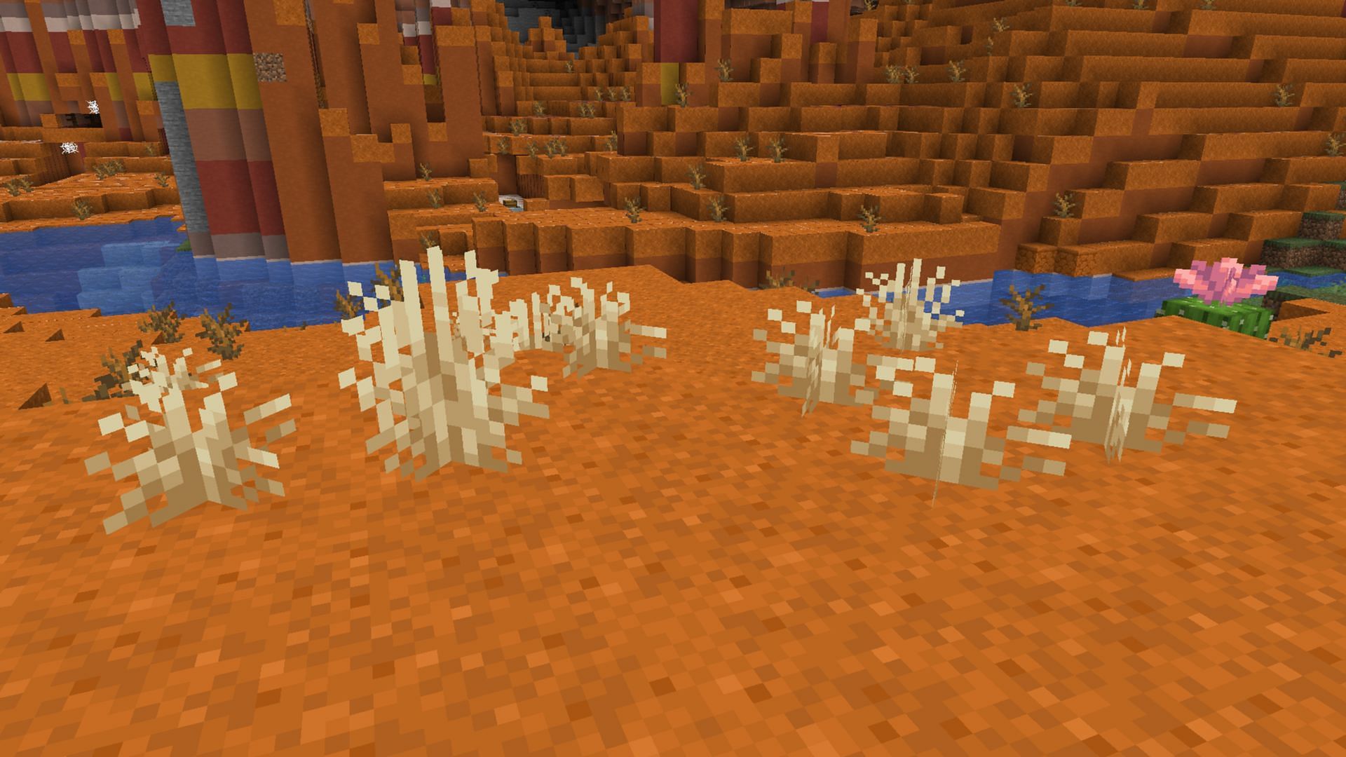 dry grass in Minecraft