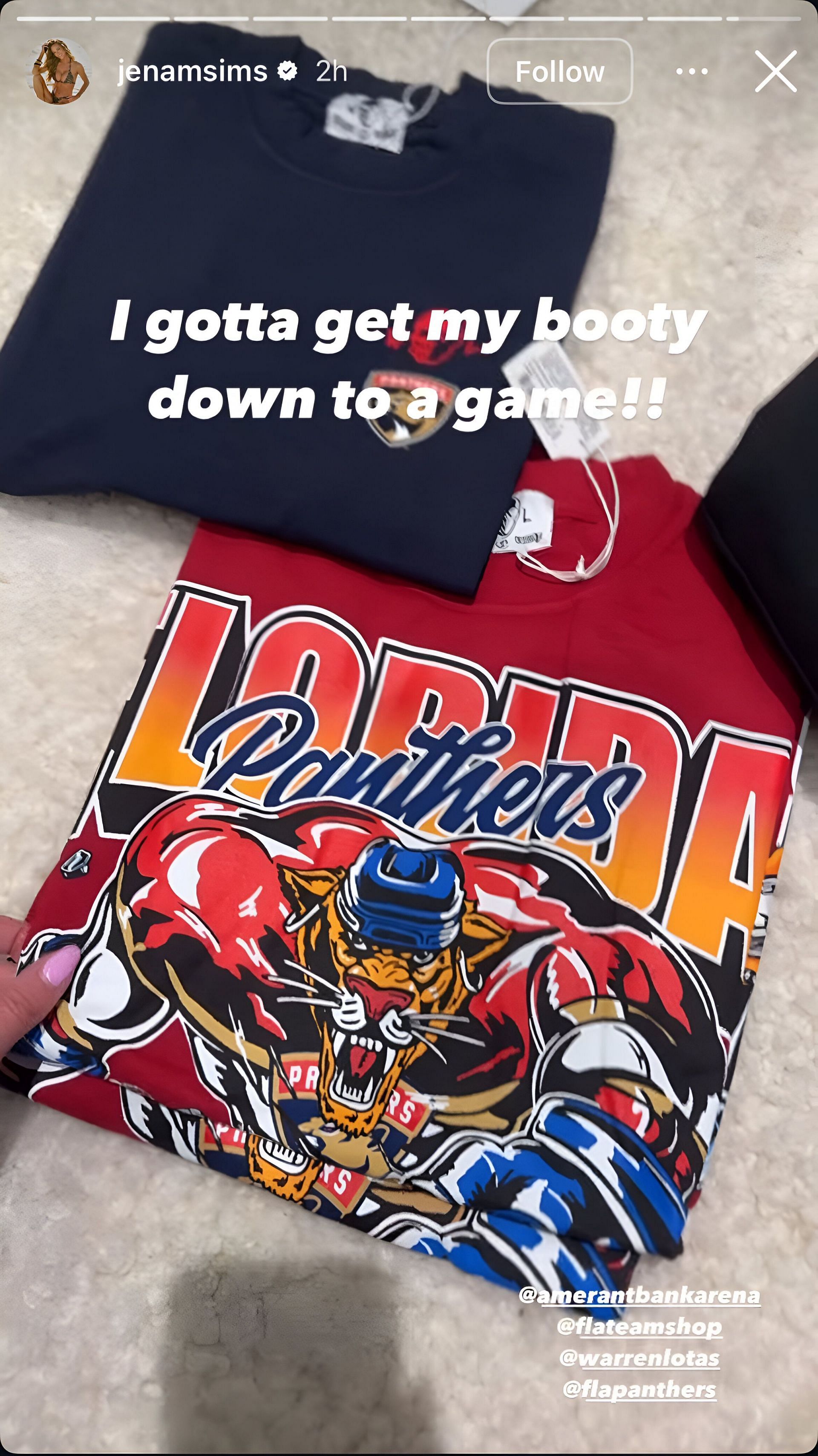 Jena Sims shares Carolina Panthers merch on her Instagram story. Image via Instagram @jenasims