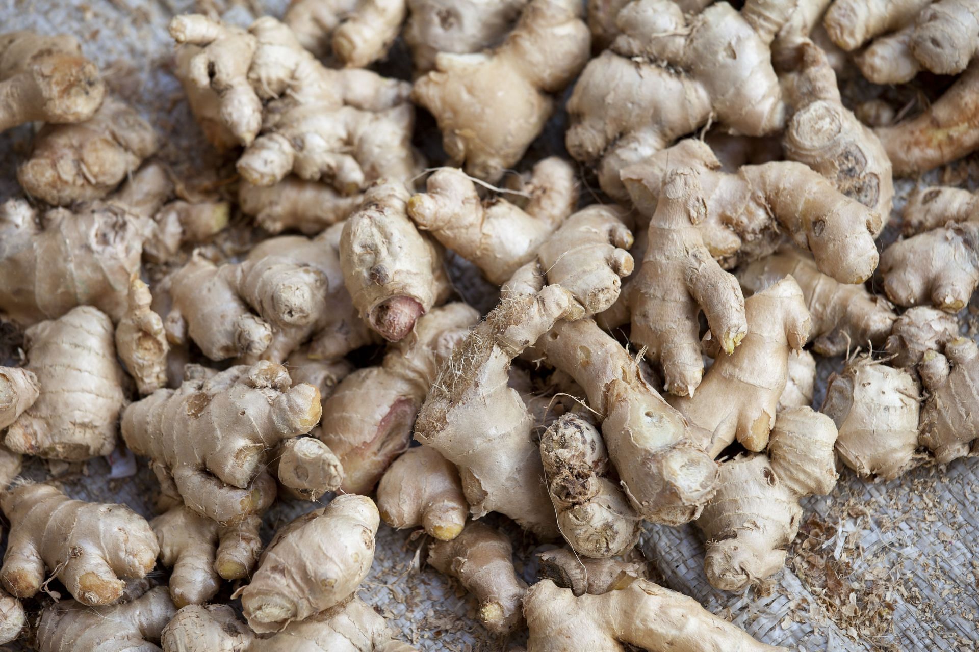 Ginger at Market, Old Delhi, India (Image source: Getty)