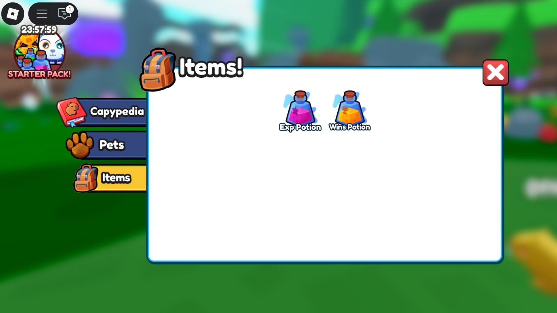 The EXP Potion can be found in your Items inventory (Image via Roblox)