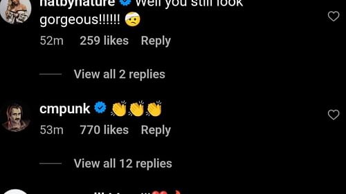 Screengrab of Punk's comment.