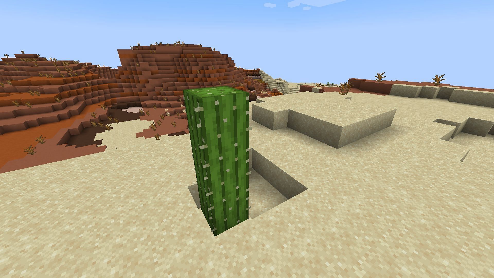 You can grow and farm cactus in Minecraft (Image via Mojang Studios)