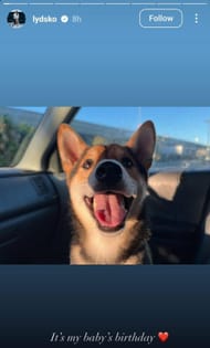 Lydia Ko's furry friend ( via Lydia Ko's Instagram story)