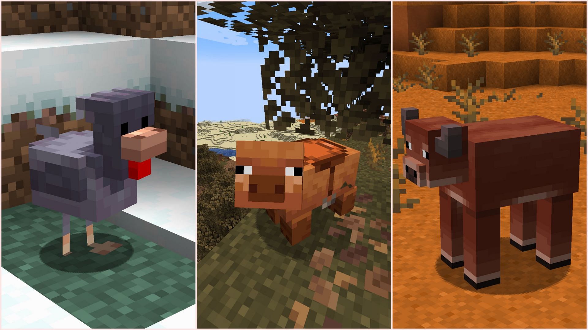 Different sheep colors are segregated into different biomes because other farm animals are receiving new variants (Image via Sportskeeda Gaming/Mojang)