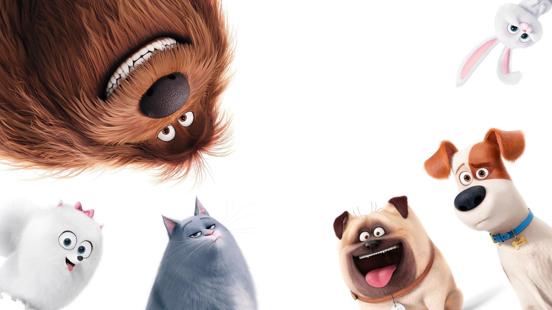 The Secret Life of Pets (Image from Universal Pictures)