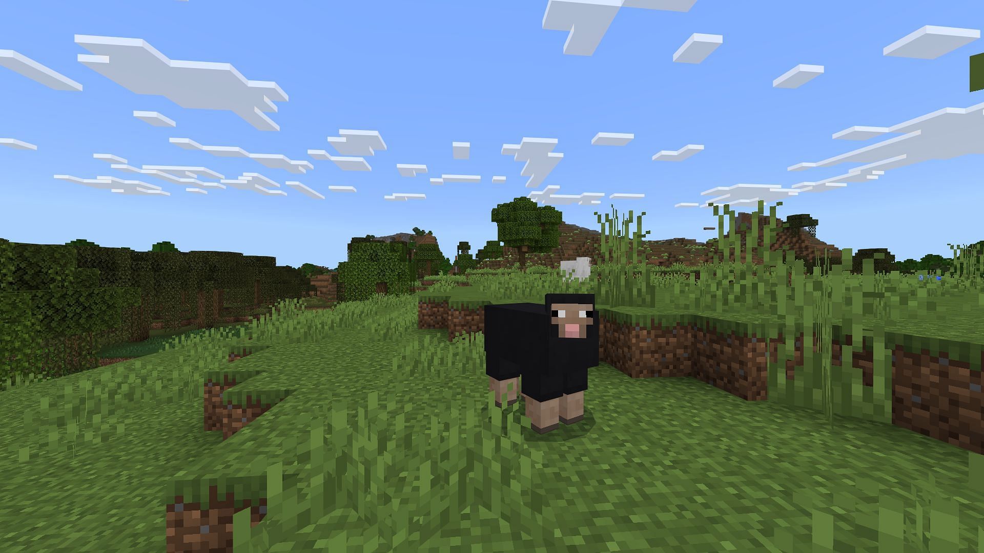 Minecraft Snapshot 25w07a adds a new mechanic for biome-based spawning of sheep types (Image via Sportskeeda Gaming/Mojang Studios)