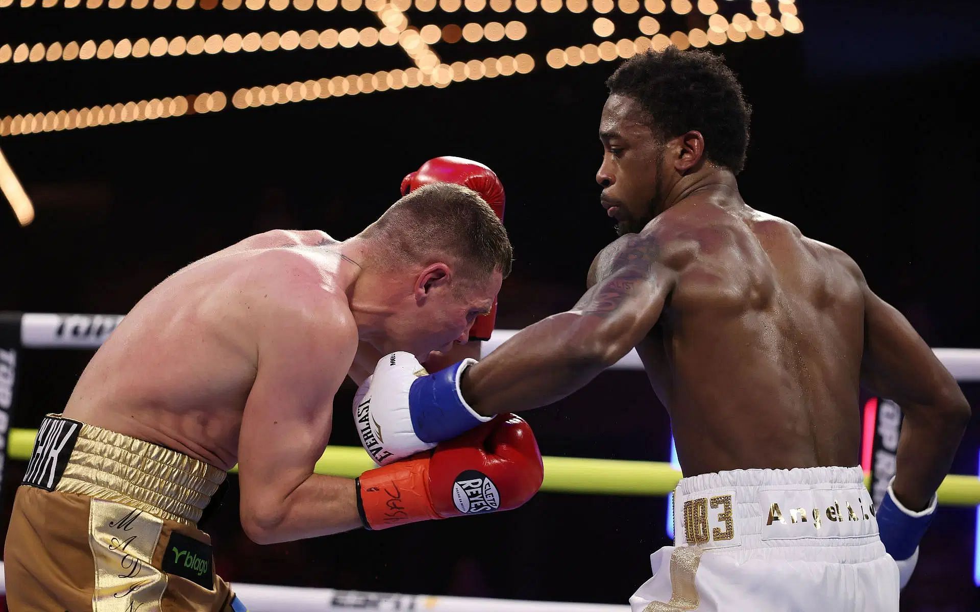 Denys Berinchyk and Keyshawn Davis faced off on Feb. 14 in WBO lightweight title fight.