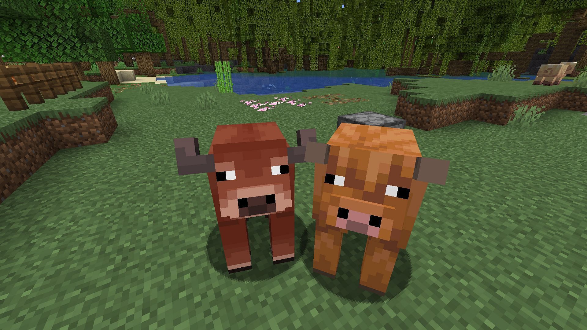 Warm and cold cows (Image via Mojang &amp; Sportskeeda Gaming)