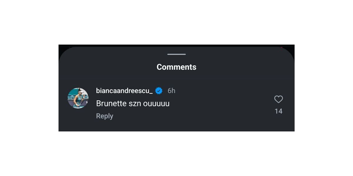 Screenshot via @amandaanisimova and @biancaandreescu_ on Instagram