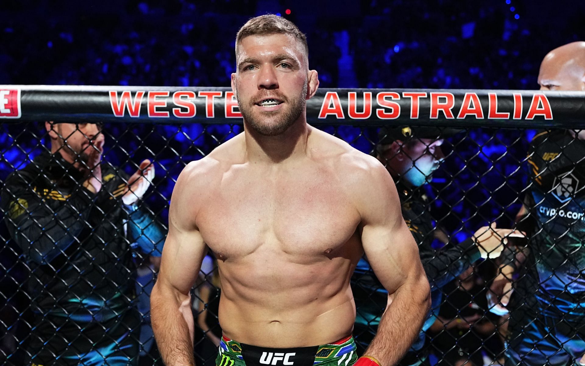 Examining UFC middleweight