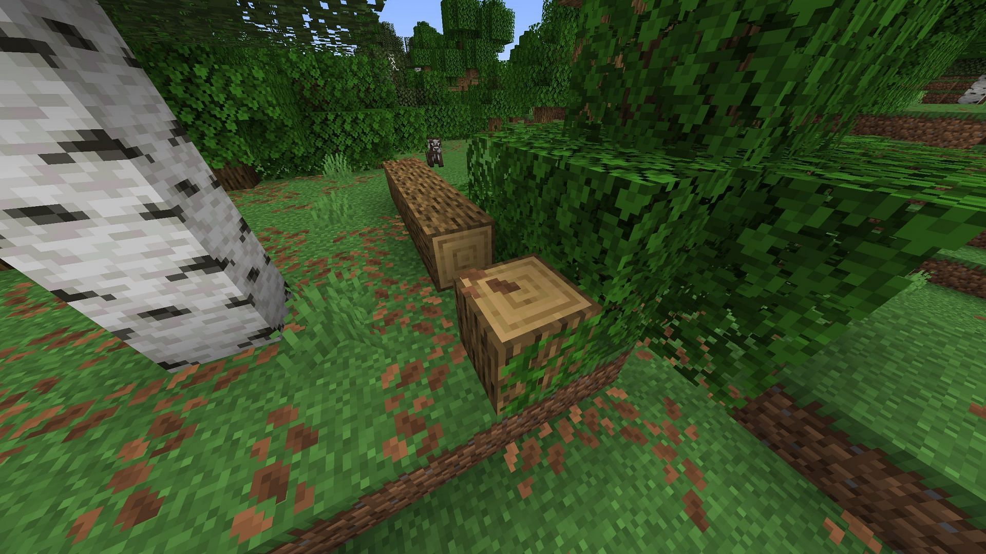 Fallen trees will add a time factor to a Minecraft world (Image via Mojang Studios || Sportskeeda Gaming)