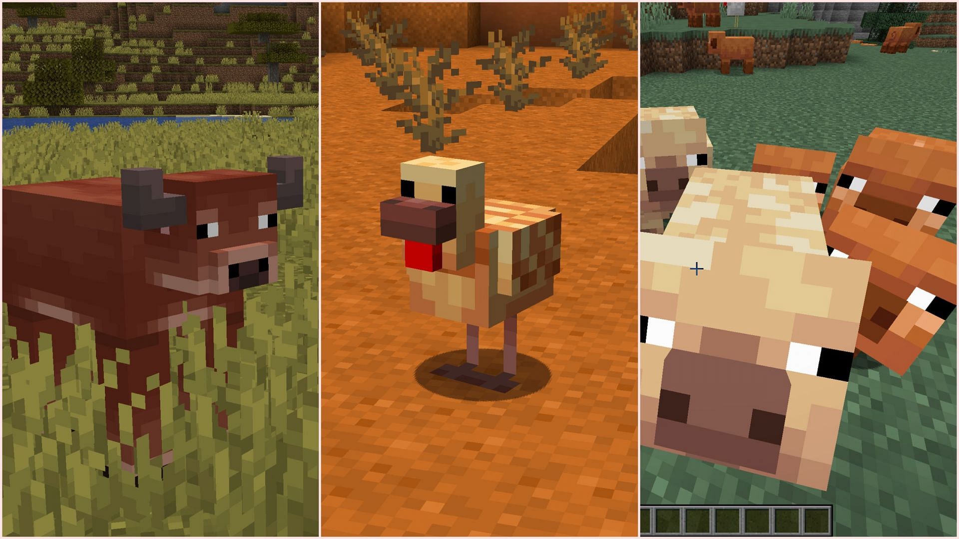 New mob variants also depend on cold and warm regions (Image via Sportskeeda Gaming/Mojang)