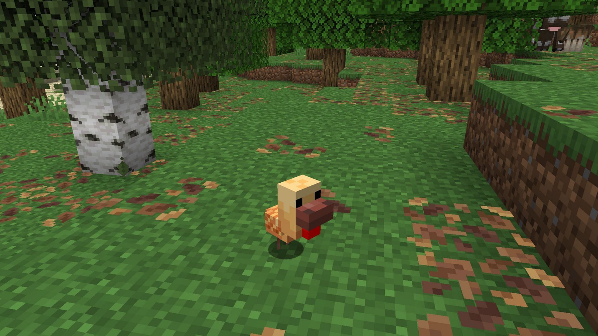 Download the Minecraft Bedrock 1.21.70.22 beta and preview to experience the new chicken variants (Image via Mojang Studios)