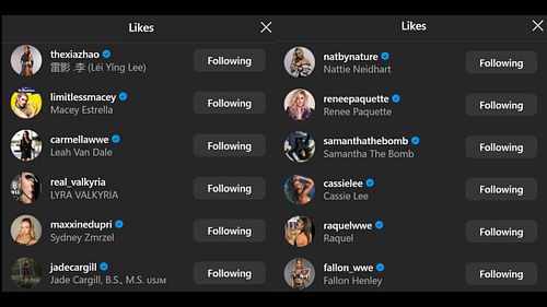 Some of the 'likes' on the Instagram post. [Picture courtesy: Maryse's IG comments]