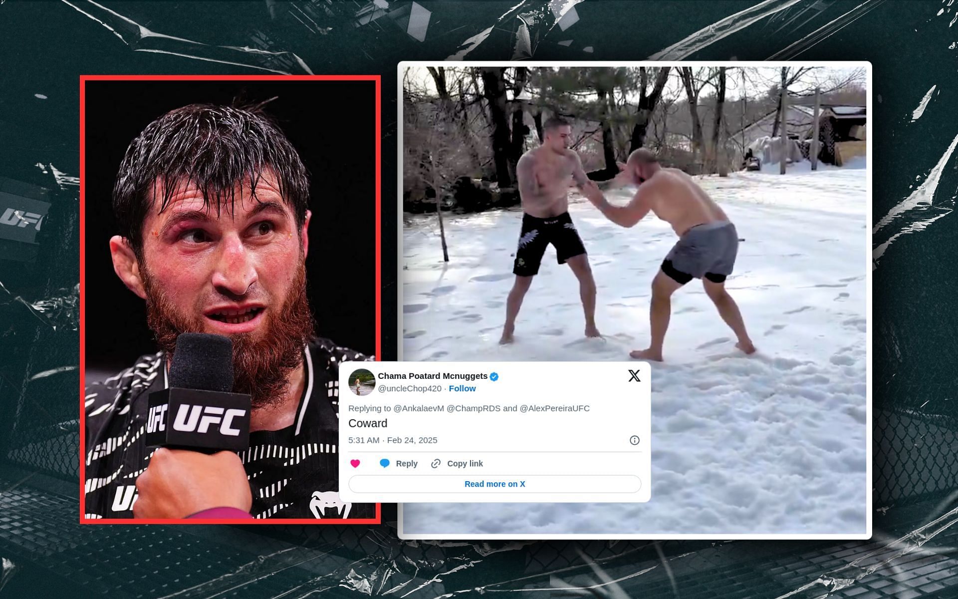 Fans react to online banter between Magomed Ankalaev (inset) and Alex Pereira. [Images courtesy: Getty Images;  @ChampRDS via X]