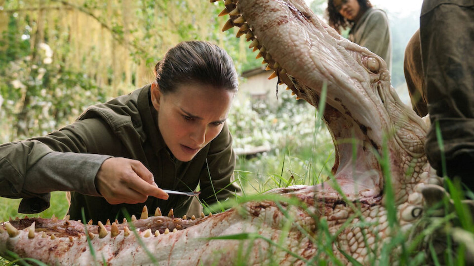 Natalie Portman in Annihilation (Image via Netflix)