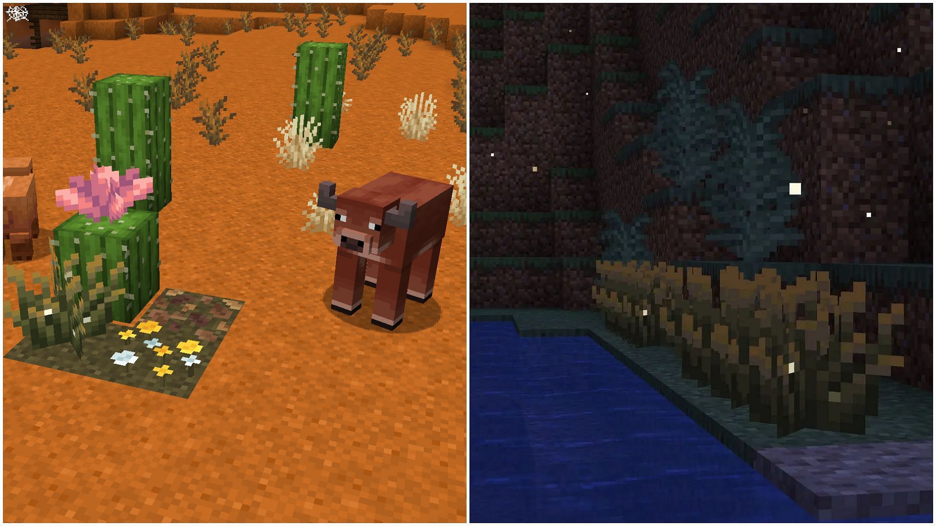 The developers decided to overhaul existing Overworld biomes rather than introducing new ones to Minecraft (Image via Sportskeeda Gaming/Mojang Studios)