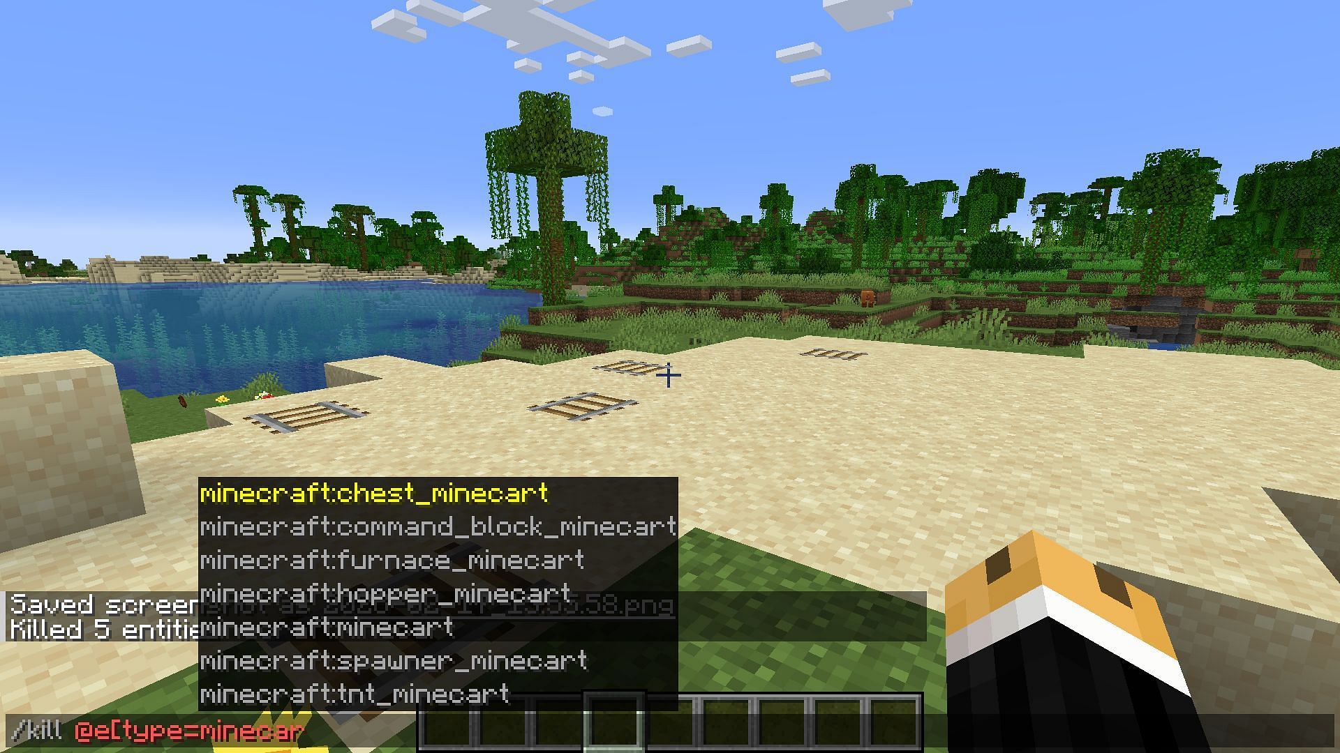 The command for removing all types of minecart in Minecraft (Image via Sportskeeda Gaming/Mojang Studios)