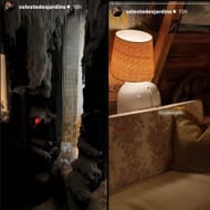 (Image Source: Celeste Desjardins/Instagram)