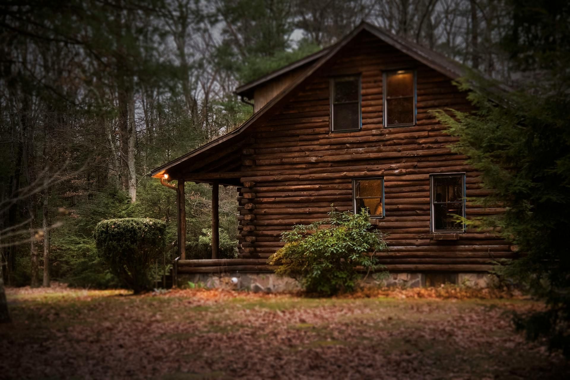 20/20 season 47 episode 19 subject Toni was injured by a falling cabin timber (Image via Pexels)