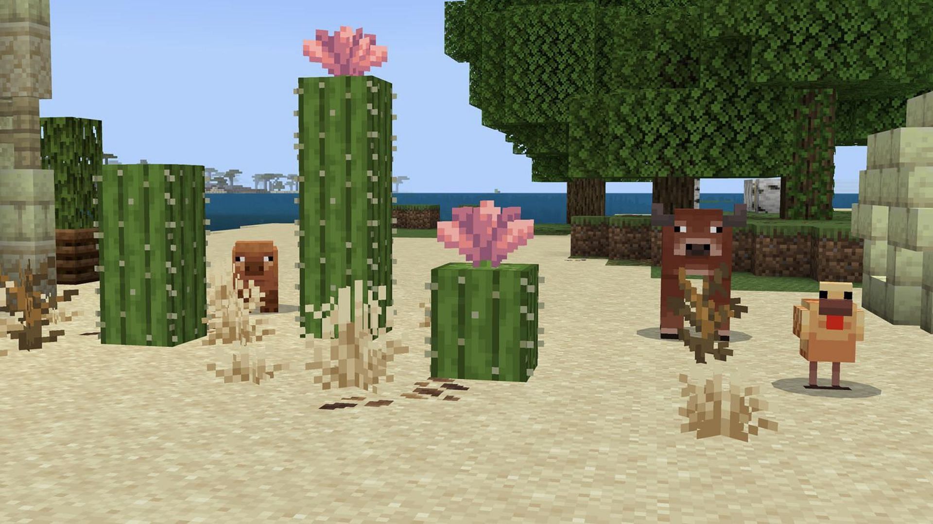 Minecraft cactus and mob variants