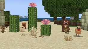 Minecraft builders are excited for new blocks and flowers coming in the next update
