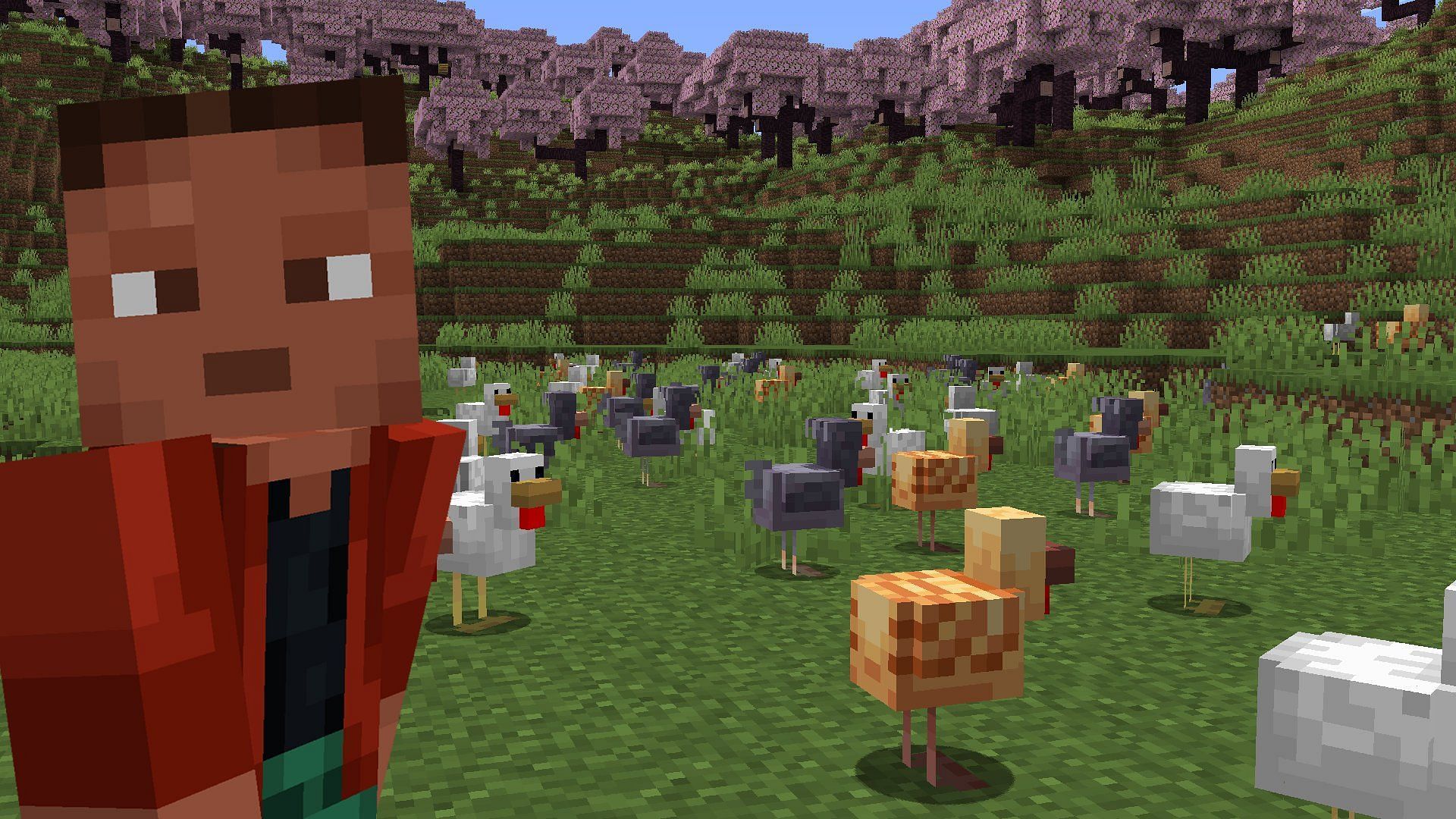 The new chicken variants added to Minecraft (Image via Mojang Studios)