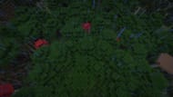 The biome has a lot of mobs even during the day (Image via Mojang Studios || Sportskeeda Gaming)