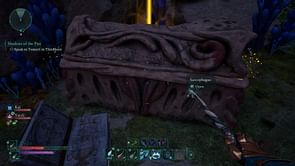 Avowed Treasure Map - Earthy Aegis location