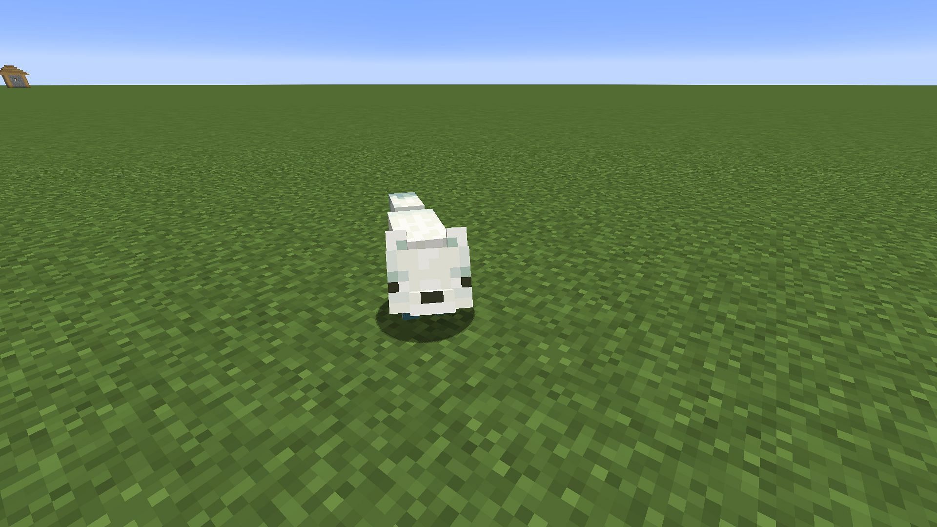 A cutesy white fox (Image via Mojang Studios)