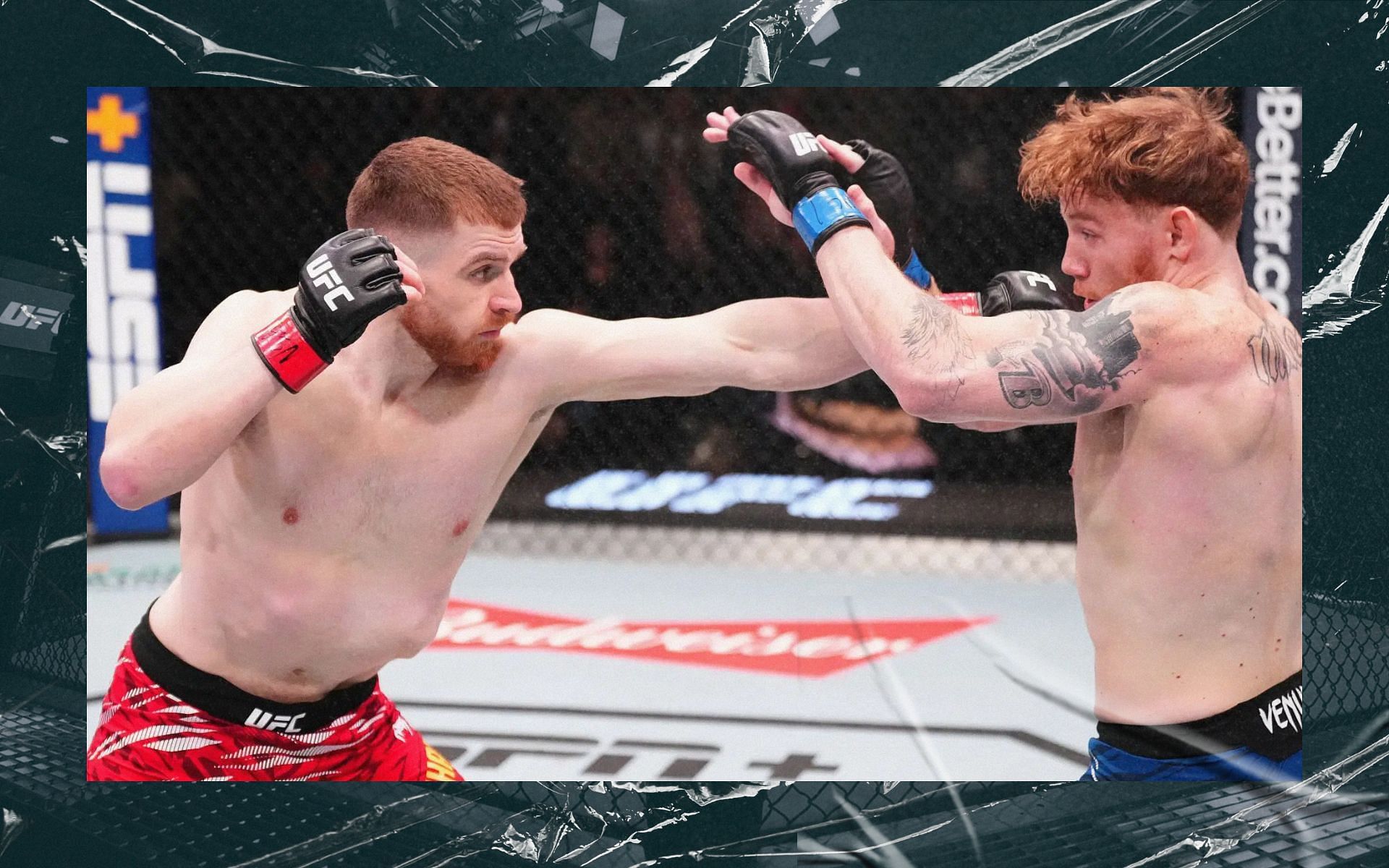 UFC Vegas 102: Edmen Shahbazyan vs. Dylan Budka: fight highlights. [Image courtesy: Getty Images]