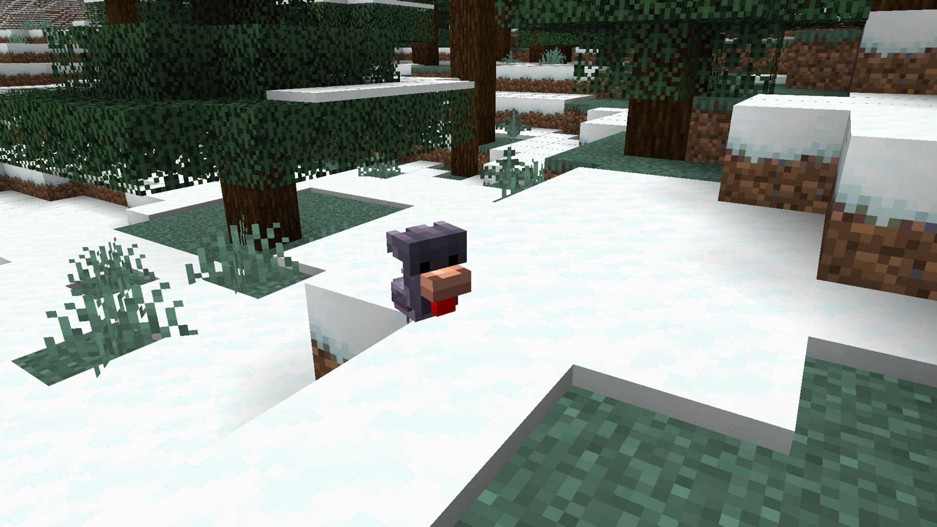 You can spot the cold chicken in cold and elevated regions of your world (Image via Mojang Studios)