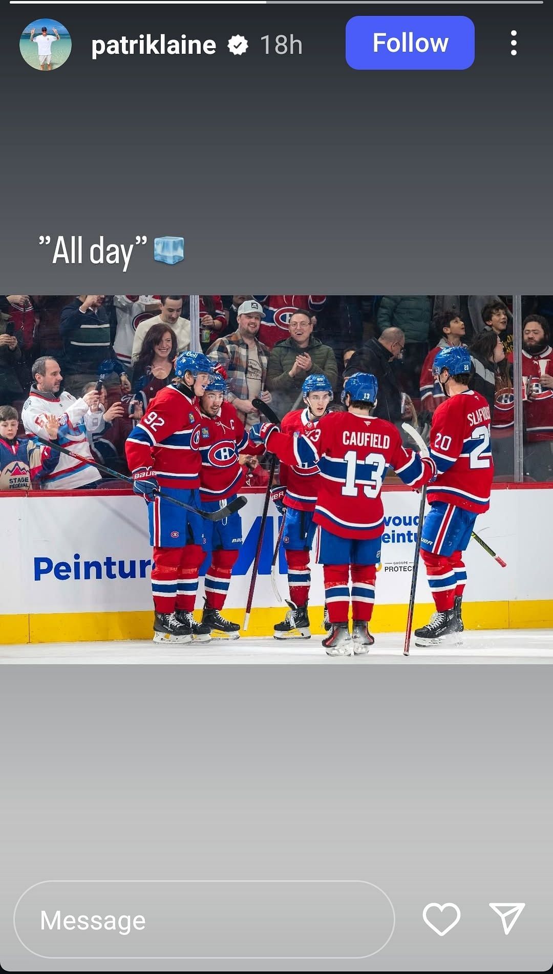 (Credit: IG/@patriklaine)