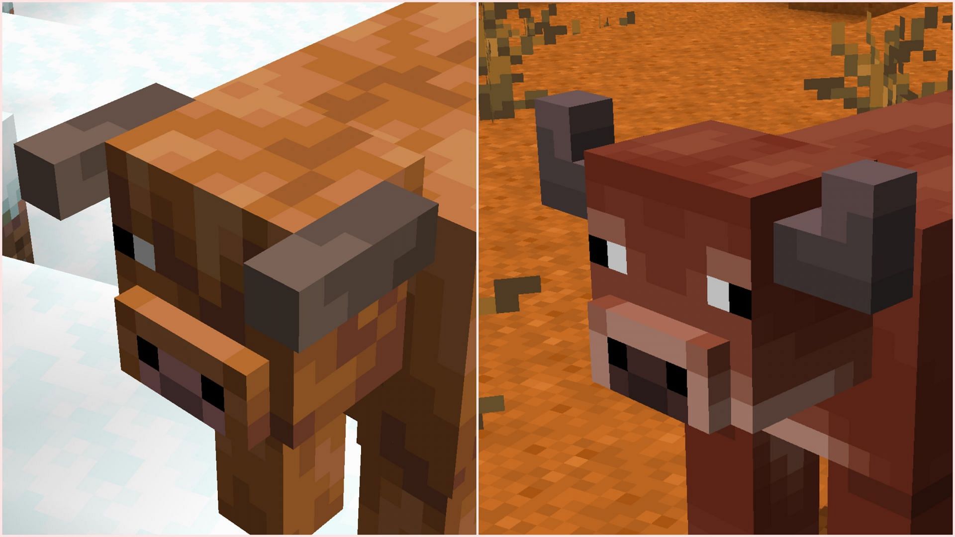 Both cow variants have distinct horns (Image via Mojang Studios)