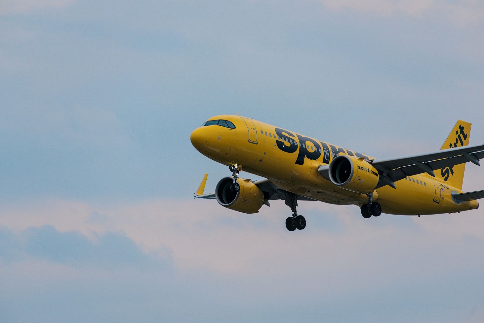 A scuffle broke out between a mother-daughter duo and Spirit Airlines emplyees at the Philadelphia International Airport (Image via Pexels)