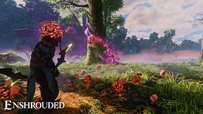Can you play Enshrouded solo?