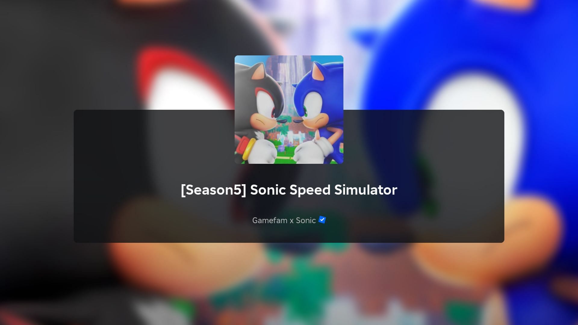 Sonic Speed Simulator