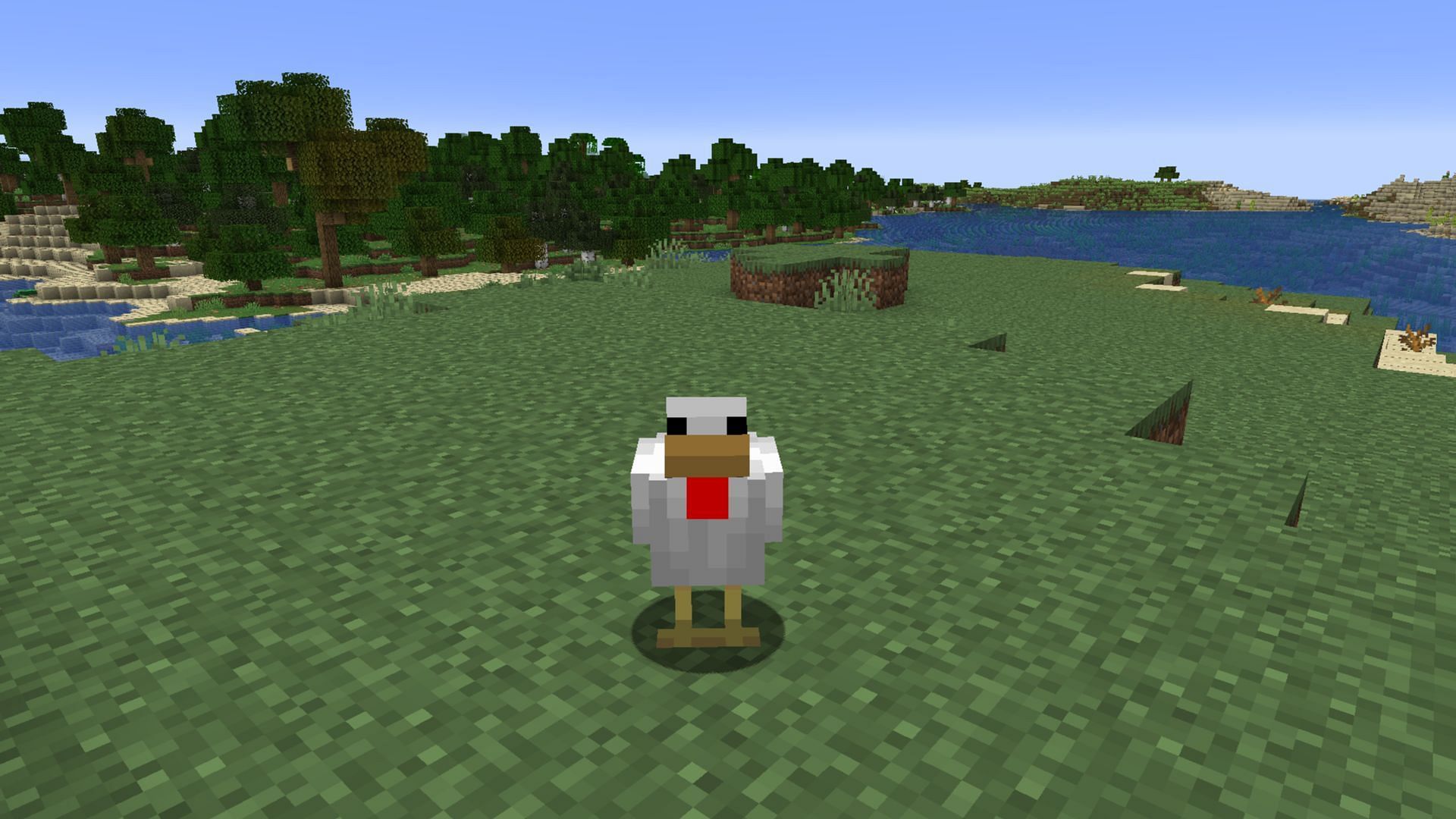 This is the regular chicken variant that can be found in most biomes (Image via Sportskeeda Gaming/Mojang)