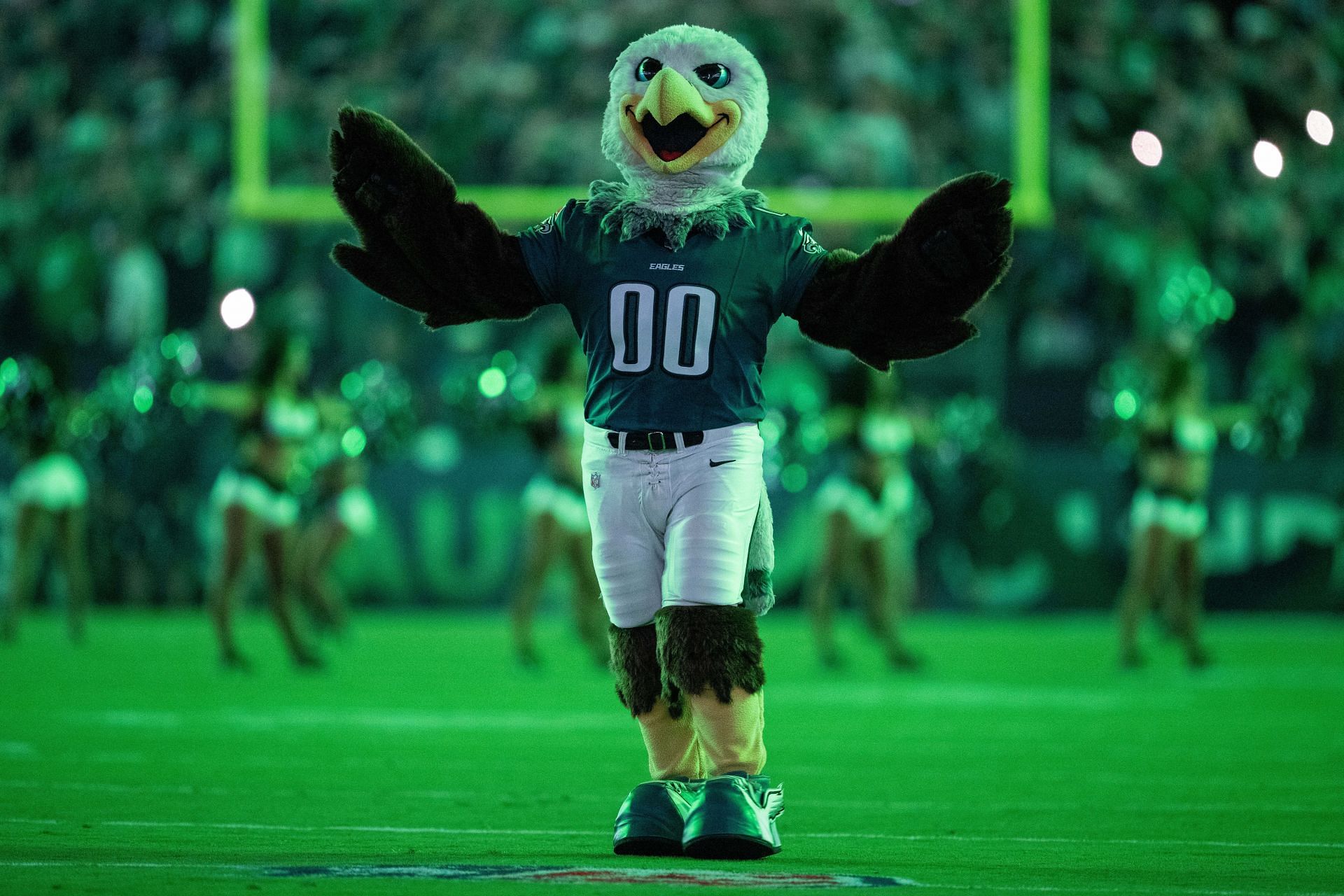 Philadelphia Eagles mascot Swoop